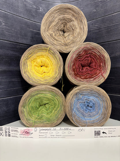 Sofortkauf Jahresprojekt 26