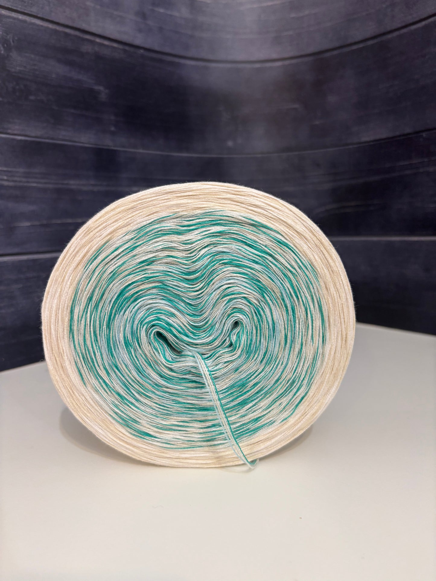 Jahresprojekt 2026 Winter Light